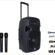 RhSoundPP2112ADX_CB