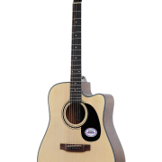 SagaSF600CNA