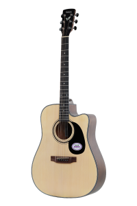 SagaSF600CNA