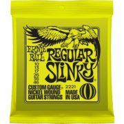 ernieball2221