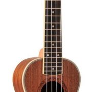 ukuleleeverplayuk24_30
