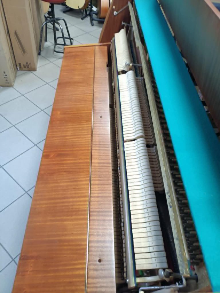 Calisia108c